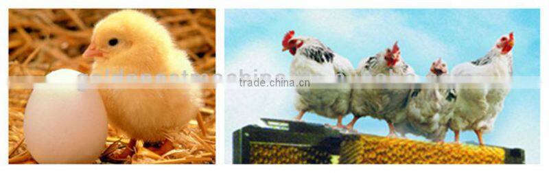 industry recommended poultry farming equipment broiler feeder pan/pan feeding system