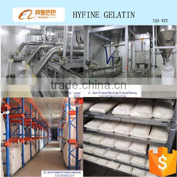 High quality hydrolyzed bovine Collagen powder for sports beverage