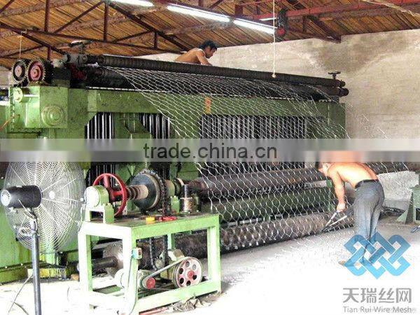 Hexagonal wire netting/chicken wire mesh