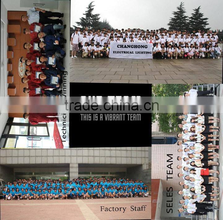 outdoor COB 110 lumnes / w RGB 10w/20w/30w/140w/150w / 50w led flood light