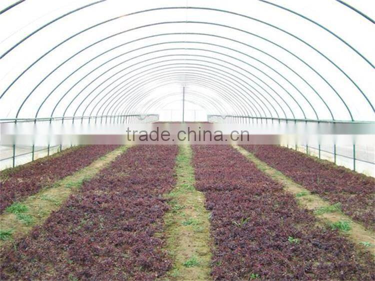 Cheap Price Polyethylene Film Covered Tunnel Greenhouse For Sale