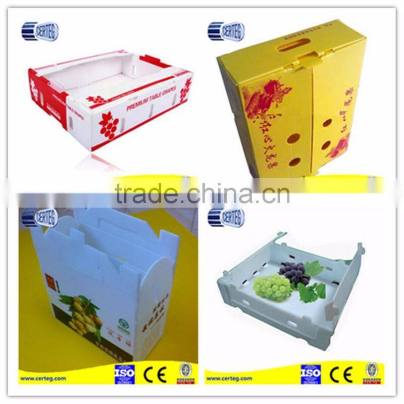 Colorful PP Corrugated Sheet/Coroplast