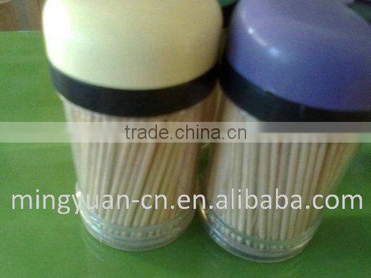 Bamboo Fruit Toothpicks