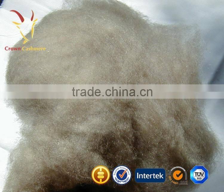Dehaired Pure Cashmere Wool Fiber