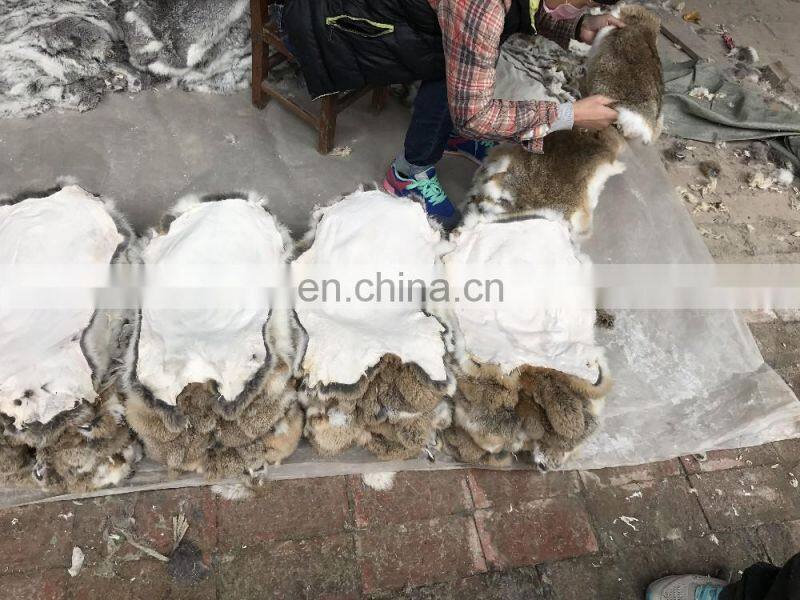 Online wholesale shop Rabbit Fur Skins and rabbit skins for plate, for Garment