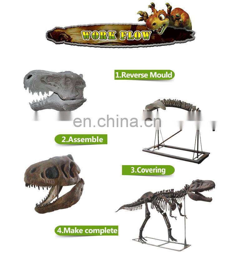 roaring vivid dinosaur skull fossil for museum exhibition