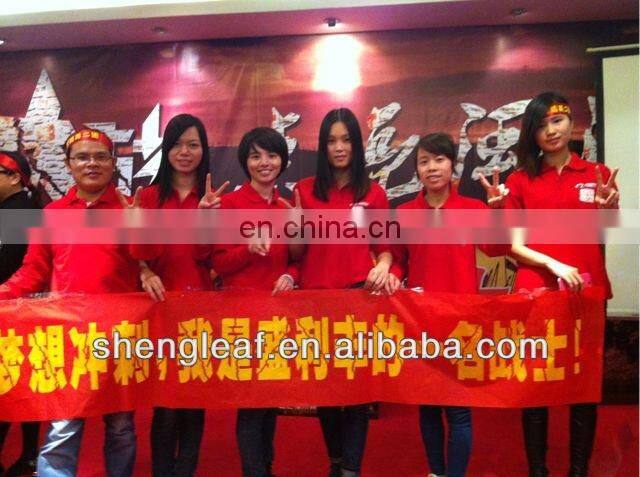 Novelty Vegetable Shape Pens for kids, Carrots Roller Ball pens for wholesale