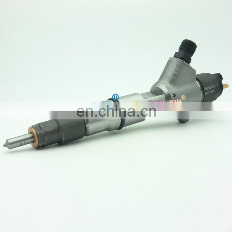 ERIKC stc injector 0445120081 injector rail 0 445 120 081 diesel injector 0445 120 081 for FAW
