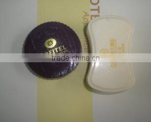 promotional high quality mini plastic shoe shine