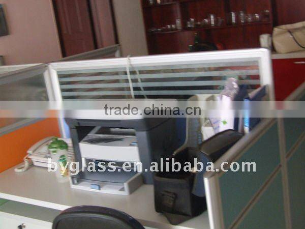 double wall glass cup