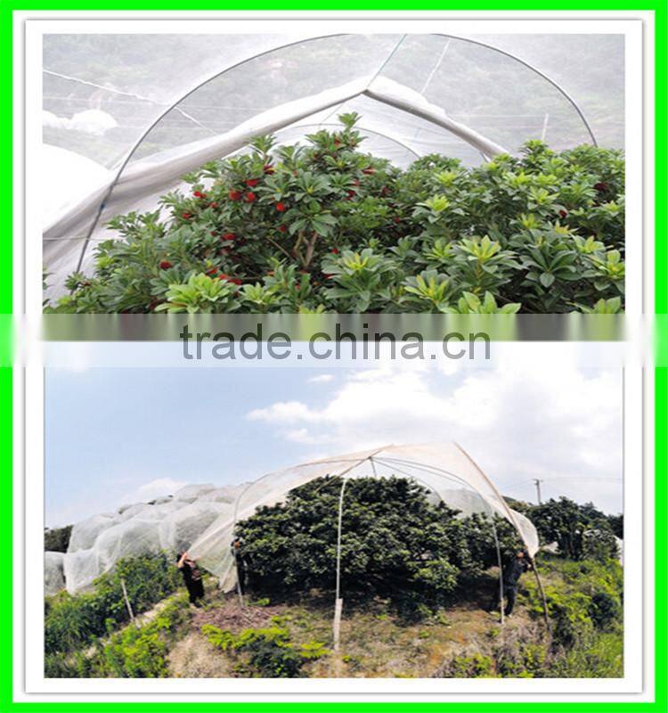 100% HDPE Anti Insect Netting