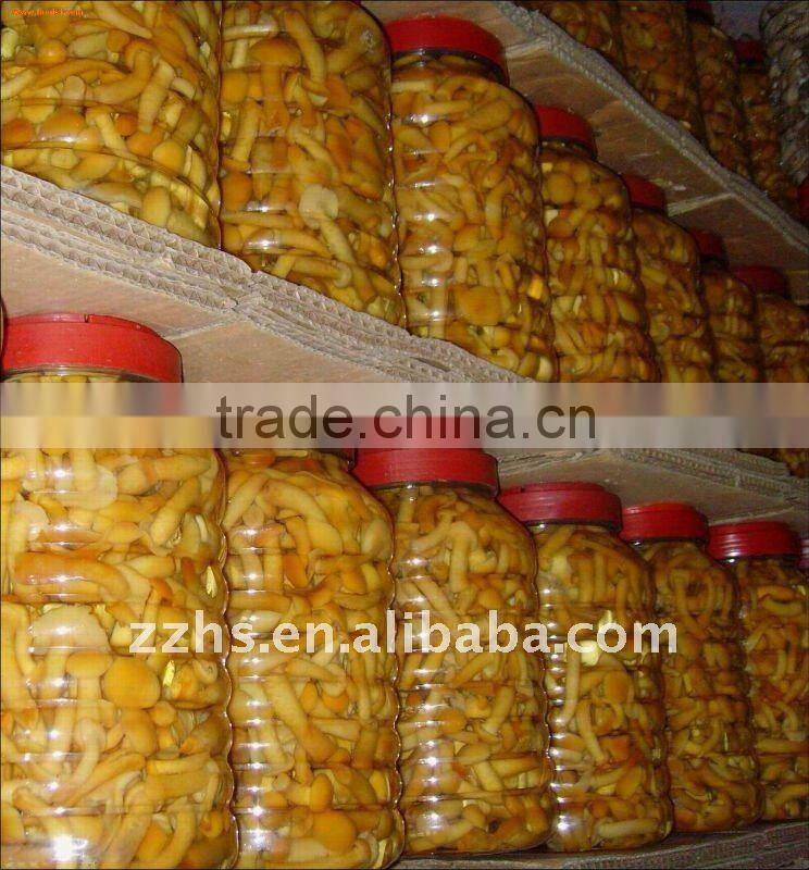 Nice Recipes Canned Nakemo Mushroom In Brine