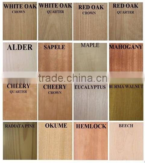 Linyi wooden doors