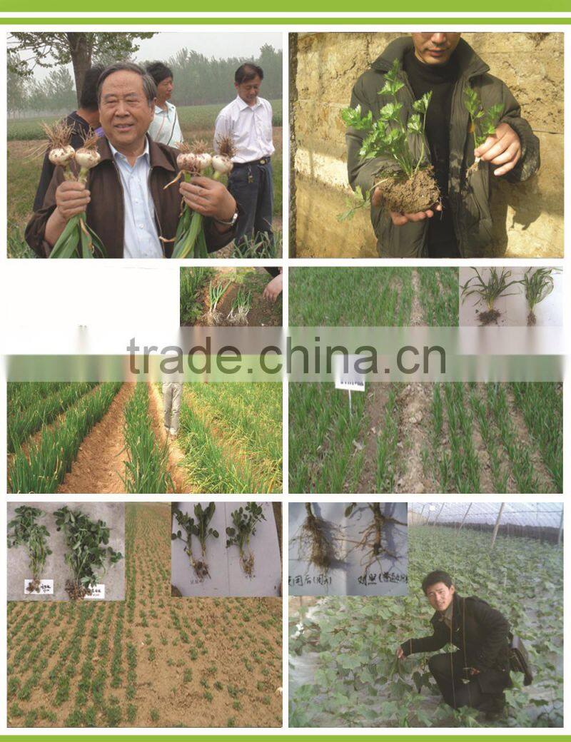 biological organic oilseed meals fertilizer