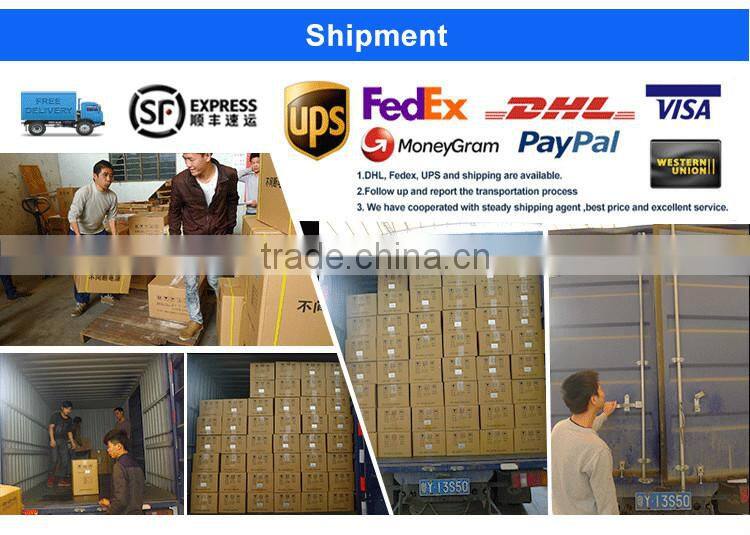 ASEP China Solar Energy Off Grid Hybrid Solar Inverter