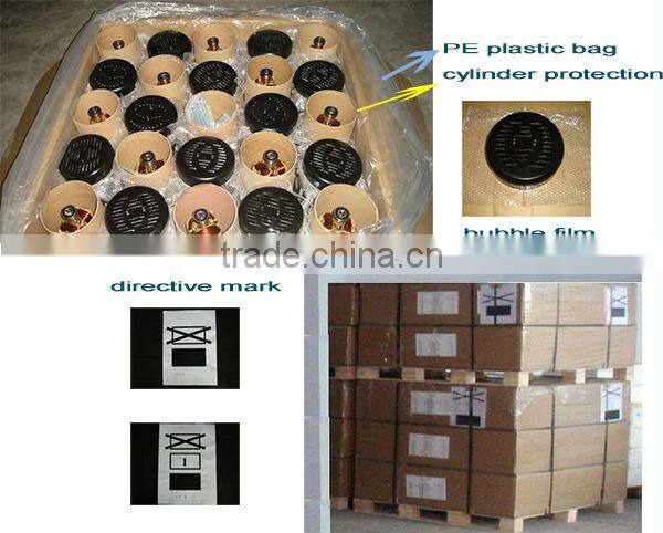 3kw 3kva alternator dynamo 230v 220v 120v with 12v dc output