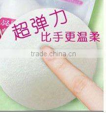 face cleaning sponge