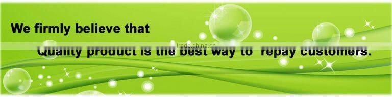 CE strandard round sling (lifting belt round sling) slings