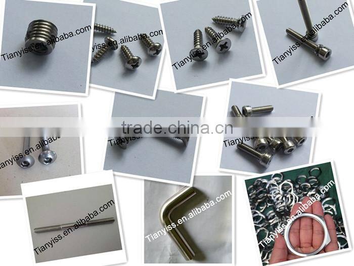 custom ss Mushroom head bolt for sale