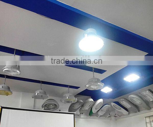 Little wattage Indoor lighting induction lamp celing light 40w