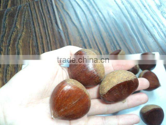 Chinese Fresh Chestnut Honey