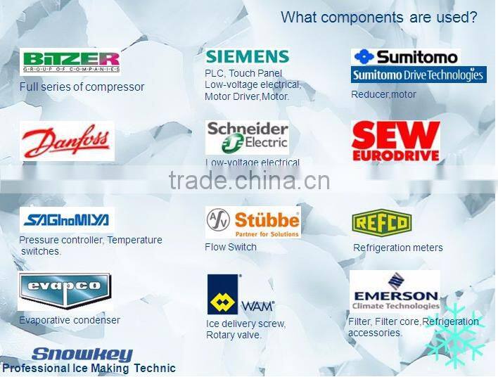 Newest design Plate ice maker 10000kgs per day Commercial plate ice making machinewith high quality