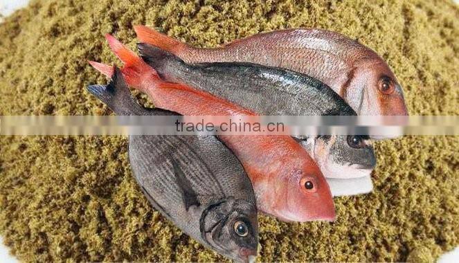 Fish Meal