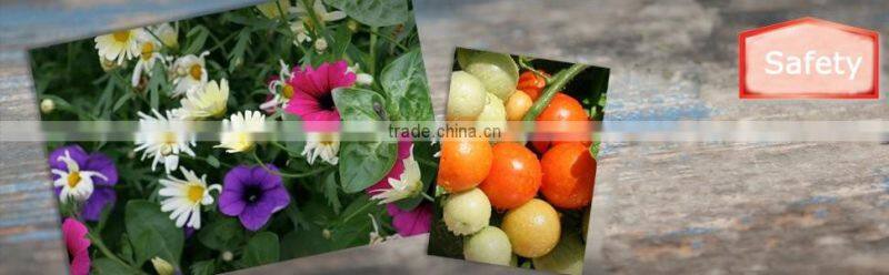 Safe agrochemical pesticide price insecticide eucalyptol