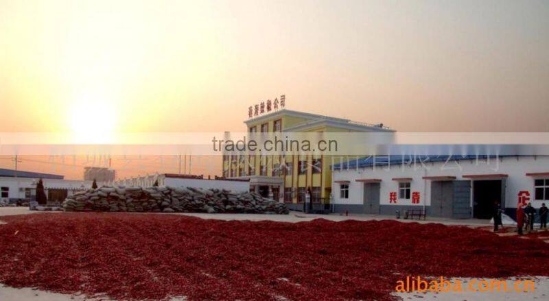 Best selling dried red chilly powder sweet paprika powder