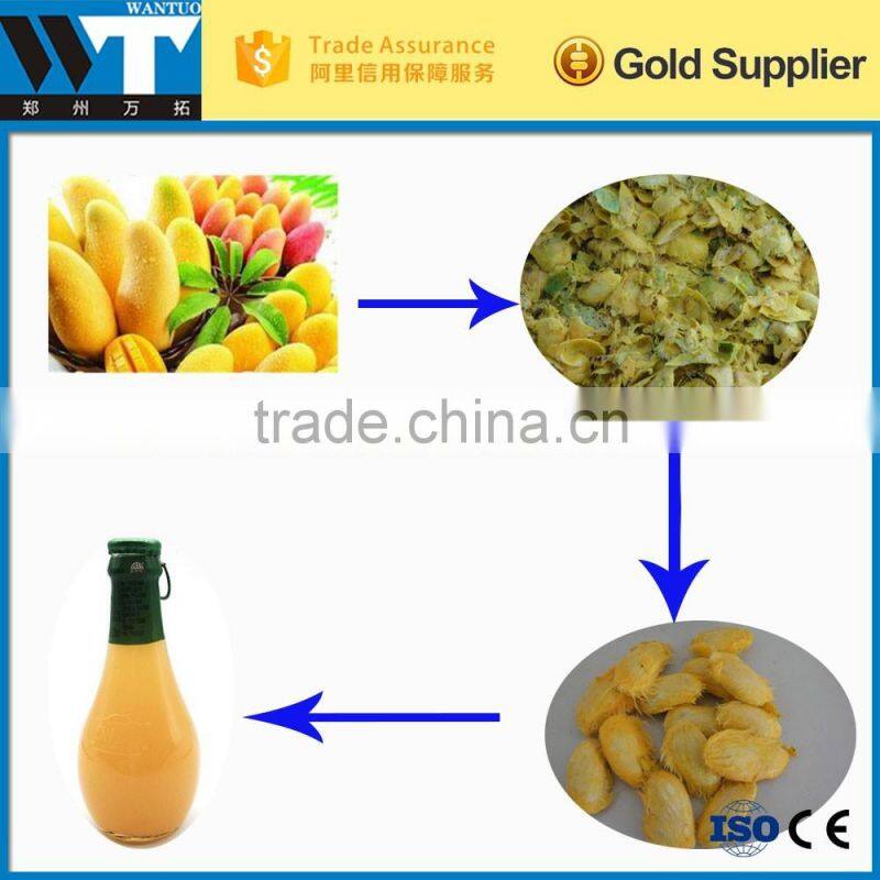 TOP quality stainless steel Mango peeling pulping machine for sale