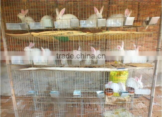 New design high quality rabbit cages for sale ISO certificate rabbit cage/vertical cage