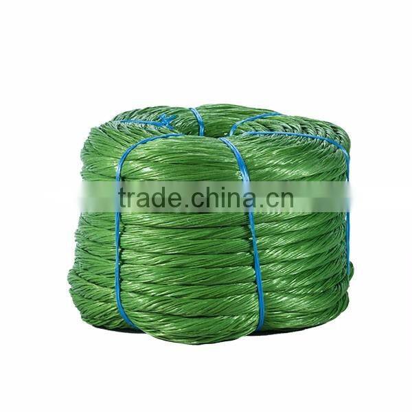 High Quality Save Tomato PP Twine