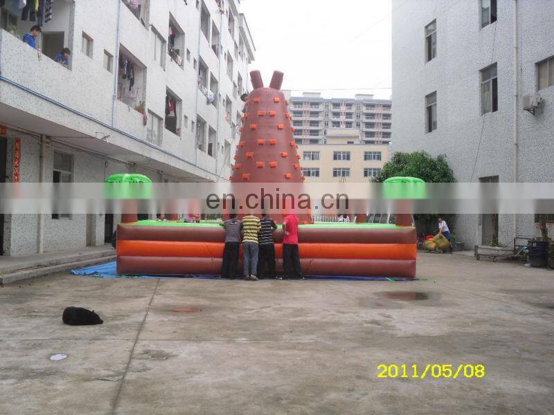 Top quality Inflatable climbing wall/rock climb wall/water climb wal