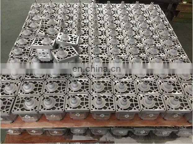 Tractor Parts 5129478 Hydraulic Pump Use for Fiat 640 A25