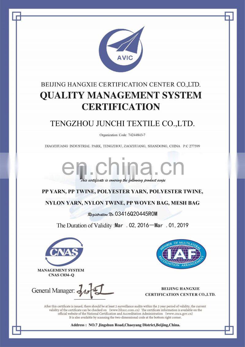 High Tenacity  210D/12  Twisted nylon twine polyester twine
