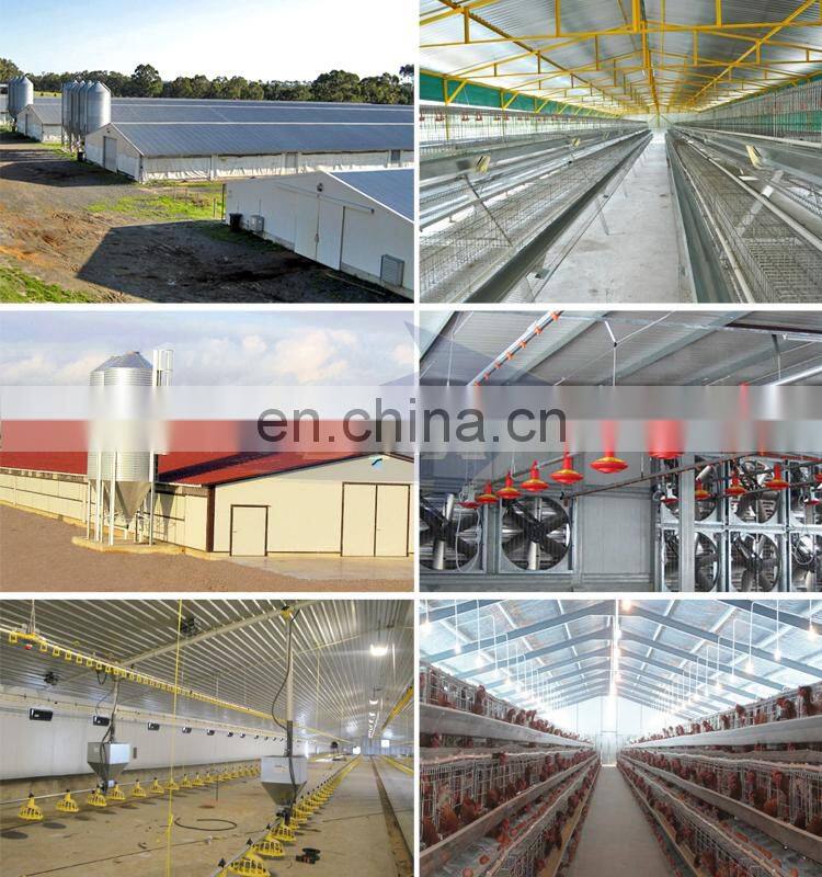 Prefabricated Light Steel Structure Build Chicken Poultry Farming House Construction