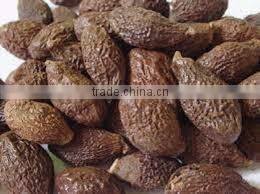 Sargentodoxa cuneata