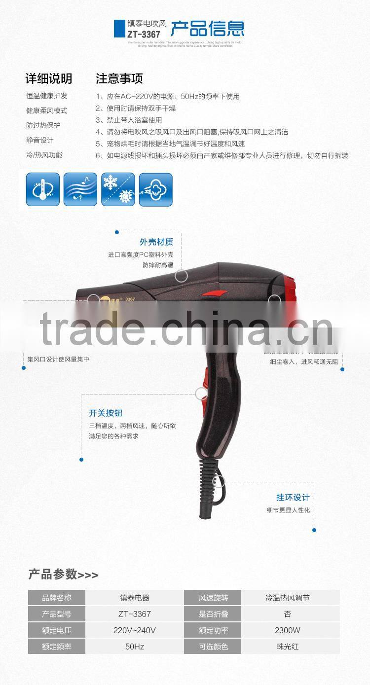 Beauty Salon Multifunction Hair Dryer High Temperature Cold Shot Zhentai Hair Dryer