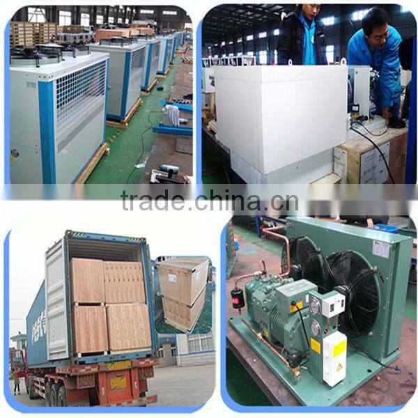 cold storage deep freezer for seafood, green house mobile freezer prices