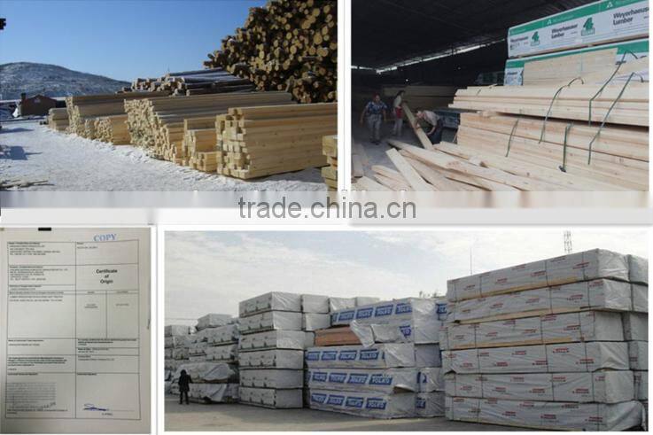 wooden tiny house wood villa house