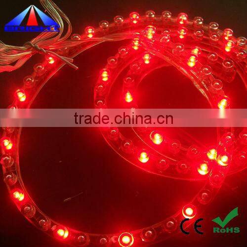 Blue color IP 65 waterproof DIP LED Strip 5MM