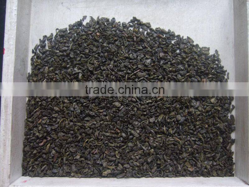 export tea from professional factory in China gunpowder tea 3505 AA A