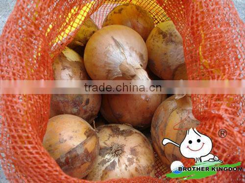 10kg mesh bag fresh yellow onion