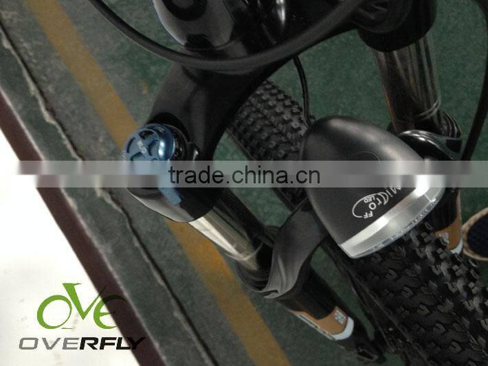 mountain bike with motor
