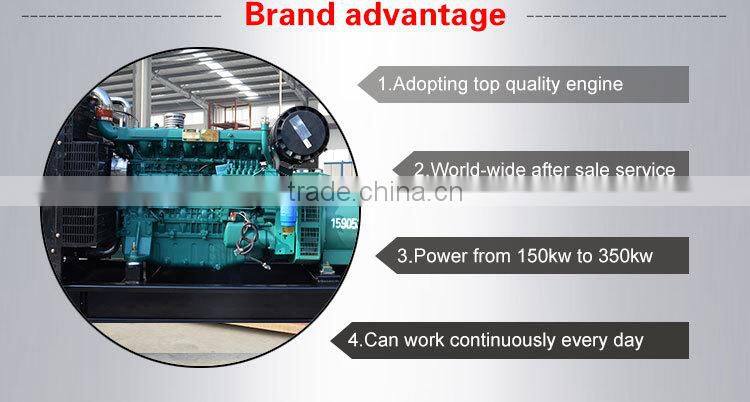 China Most Popular Brand Weichai styer 300KW Diesel Generator