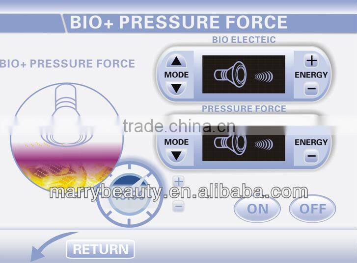 New Products for 2013 Cavitation RF Vacuum Ice Slimming Machine with CE