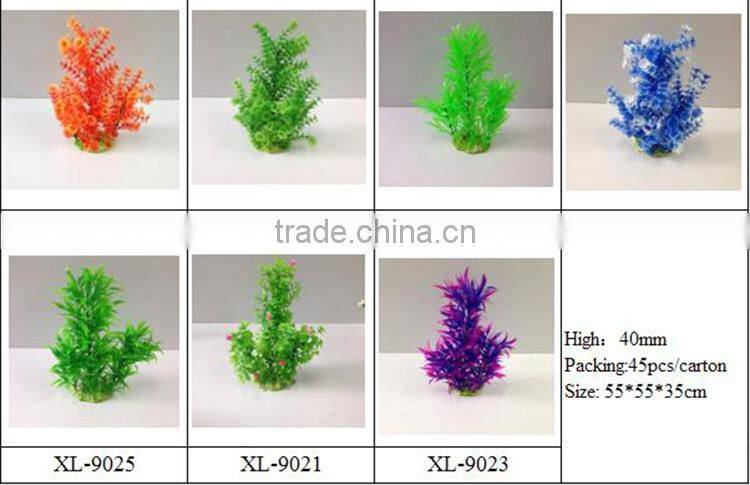 aqua plants water plants for sale