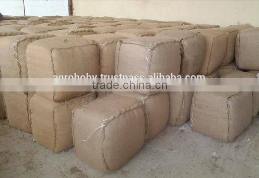 Turkish Rosemary Best Quality