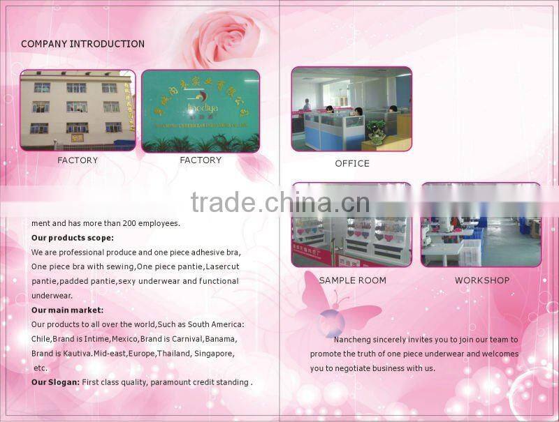 deep V one piece seamless lace sexy fancy ladies bra