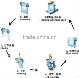 CF6-200A Automatic 6-station zipper bag packaging machine